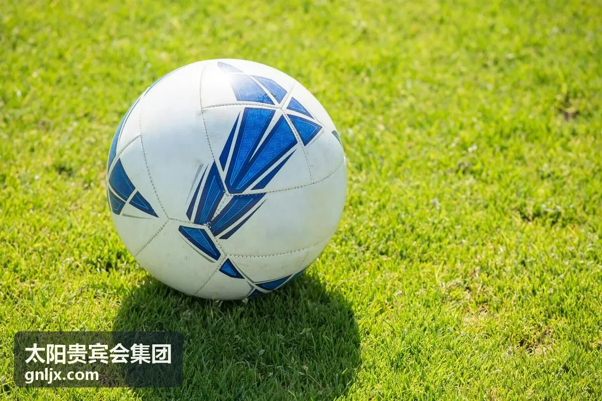 太阳贵宾会集团资源对接