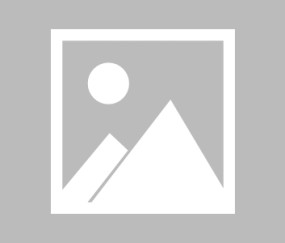 j9九游真人游戏第一品牌登录入口调查显示70%需要联网的游戏或终会消亡：仅少数能存活