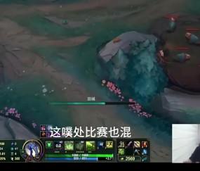 九游会·j9官方网站🤣imp听说自己冠军皮肤免费送难绷 得知Deft也免费瞬间释怀